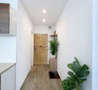 A hallway in a one-room apartment with a wooden decor floor and houseplants.