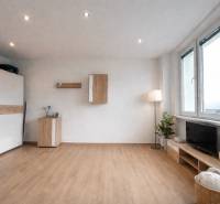 Living area in a studio apartment with wood-patterned flooring and furniture.
