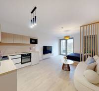 Interior of a 1-room apartment with a kitchen unit, sofa, and wooden decor flooring.