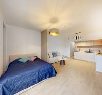 A one-room apartment with a wooden decor floor, a bed, a kitchenette, and a sofa.