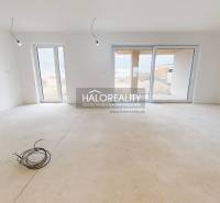 Spacious room with windows and unfinished flooring in a family house.