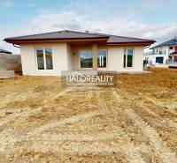 A family house in Rimavské Janovce with a flat roof and a spacious plot.