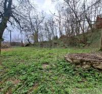 A garden near the cottage in Chľaba, surrounded by trees and greenery.