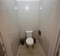 A toilet with ceramic tiles and cleaning supplies in a 2-room apartment.