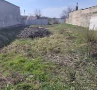 A plot on Družstevná Street in Malacky, designated for residential use, surrounded by older walls.