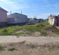 A residential plot on Družstevná in Malacky with an unmaintained grassy surface and buildings around.