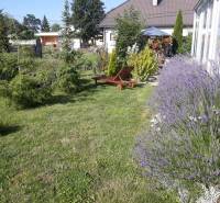 IMG_20260224_221215.jpg