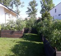 IMG_20260224_221210.jpg