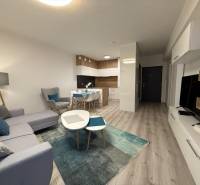 DiamantVzorBytObyv.JPEG