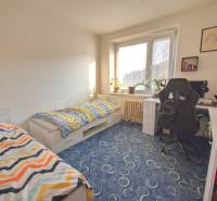 A room in a 3-room apartment with carpeted flooring, a desk, and beds.