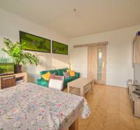 Living room in a 3-room apartment with a wooden decor floor, complemented by houseplants.