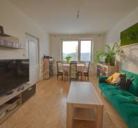 Living room of a 3-room apartment with a sofa, television, and plants, floor with wooden decor.