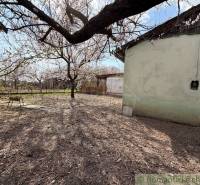 A garden at a family house in Čalovec with flowering trees and a garden bench.