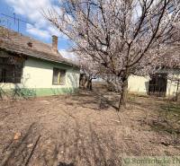 A family house in Čalovec with a blooming tree and a rural atmosphere.