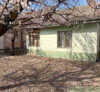 A family house in Čalovec with a blooming tree in the yard.