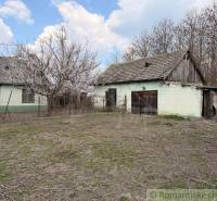 A family house in Čalovec with a large yard, a shed, and a cherry tree in the foreground.