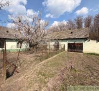 A family house in Čalovec with wooden doors, a garden, and a beautiful blossoming tree.