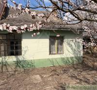 A family house in Čalovec with blooming trees in spring.