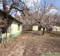 A family house in Čalovec with a garden and blooming trees.