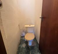 A bathroom in a family house with a toilet and dark tiles on the floor.