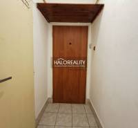 Entrance to a studio apartment with tiles and wooden doors.