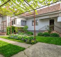 A family house in Trstín with a front garden, vine, and flower planting.
