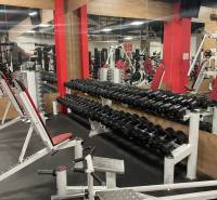Fitness center with dumbbells and exercise equipment, commercial premises.