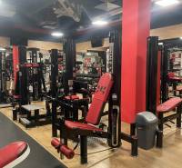 Strength training machines in commercial spaces with wood-patterned flooring.