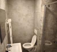 Bathroom in a 2-room apartment with a shower, sink, and toilet, gray tiles.