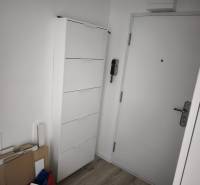 Entrance hallway with a white shoe cabinet, doors, and a floor with a wooden decor in a 2-room apartment.