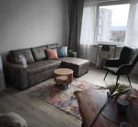 Living room in a two-room apartment with a comfortable sofa and a wooden decor floor.