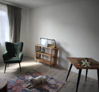 Living room in a two-room apartment with an armchair, a table, and a carpet on a floor with a wooden decor.