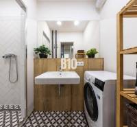 The bathroom in the 3-room apartment includes a shower, a sink, a washing machine, and a wooden shelf.