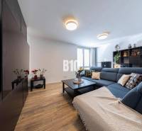 Living room in a 3-room apartment with a blue sofa and a wood-patterned floor.