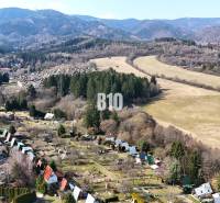 An aerial view of cottages in Martin surrounded by forests and meadows.