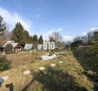 A garden with cottages in Martin surrounded by trees and shrubs, clear blue sky.