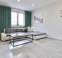 Living room with a sofa, coffee table, and wooden decor flooring in a 2-room apartment.