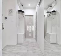 A hallway of a 2-room apartment with a coat rack wall and a wooden decor floor.