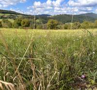 A flowery meadow on agricultural and forest lands near Veľká Čausa with a view of the hills.