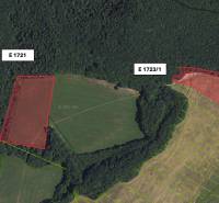 Satellite view of agricultural and forest land in Veľká Čausa with marked parcels.