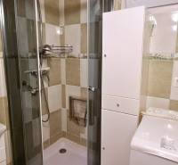 Bathroom with a sink, shower, and washing machine in a 2-room apartment.