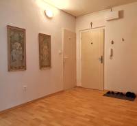 Entrance hall with wood-patterned flooring for a 2-room apartment, kitchen in the background.