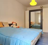 Bedroom in a 2-room apartment with a bed, wardrobe, and wooden decor flooring.