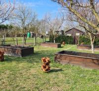 A garden by the cottage in Štúrovo with wooden flower beds and trees.