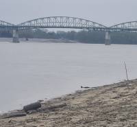 A view of the river and bridge in Štúrovo near the sandy beach.