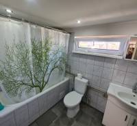 A bathroom in a cabin with tiles, a bathtub, and a curtain with a tree motif.