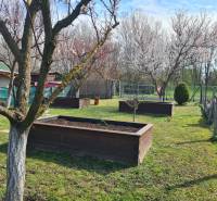 A garden with raised beds and blooming trees near a cottage in Štúrovo.