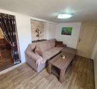 A cottage with a comfortable sofa, curtains, and a floor with a wooden decor.