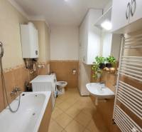 A bathroom with a bathtub, sink, and washing machine in a 2-room apartment with plants.