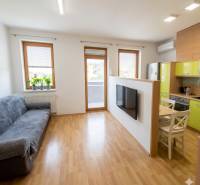 Living room in a two-room apartment with a wooden decor floor, equipped with a sofa and a television.